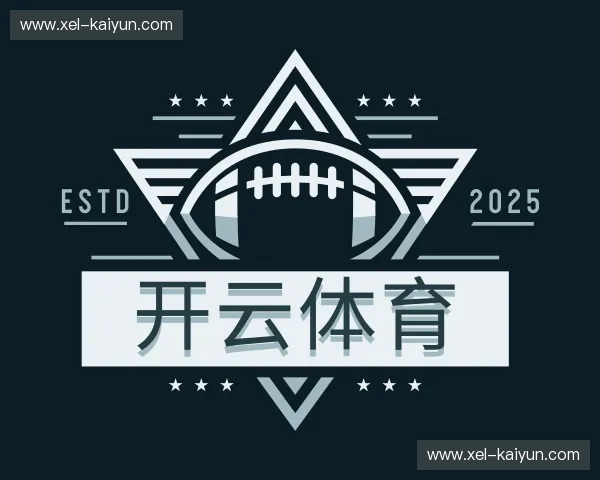解读开云手机